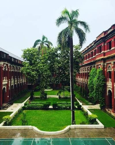 Garden Courtyard